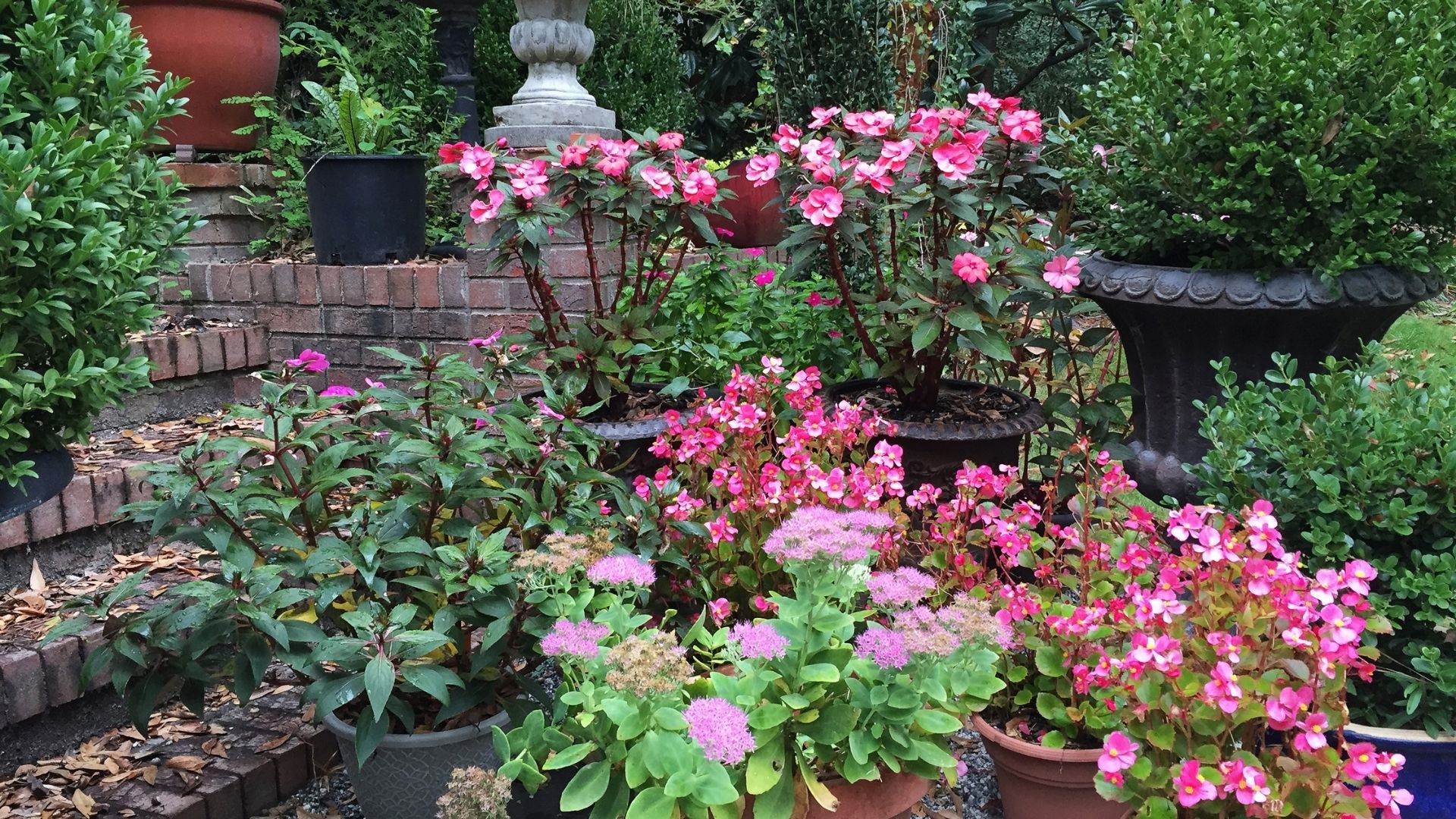 flowers in pots