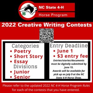 creative writing flyer