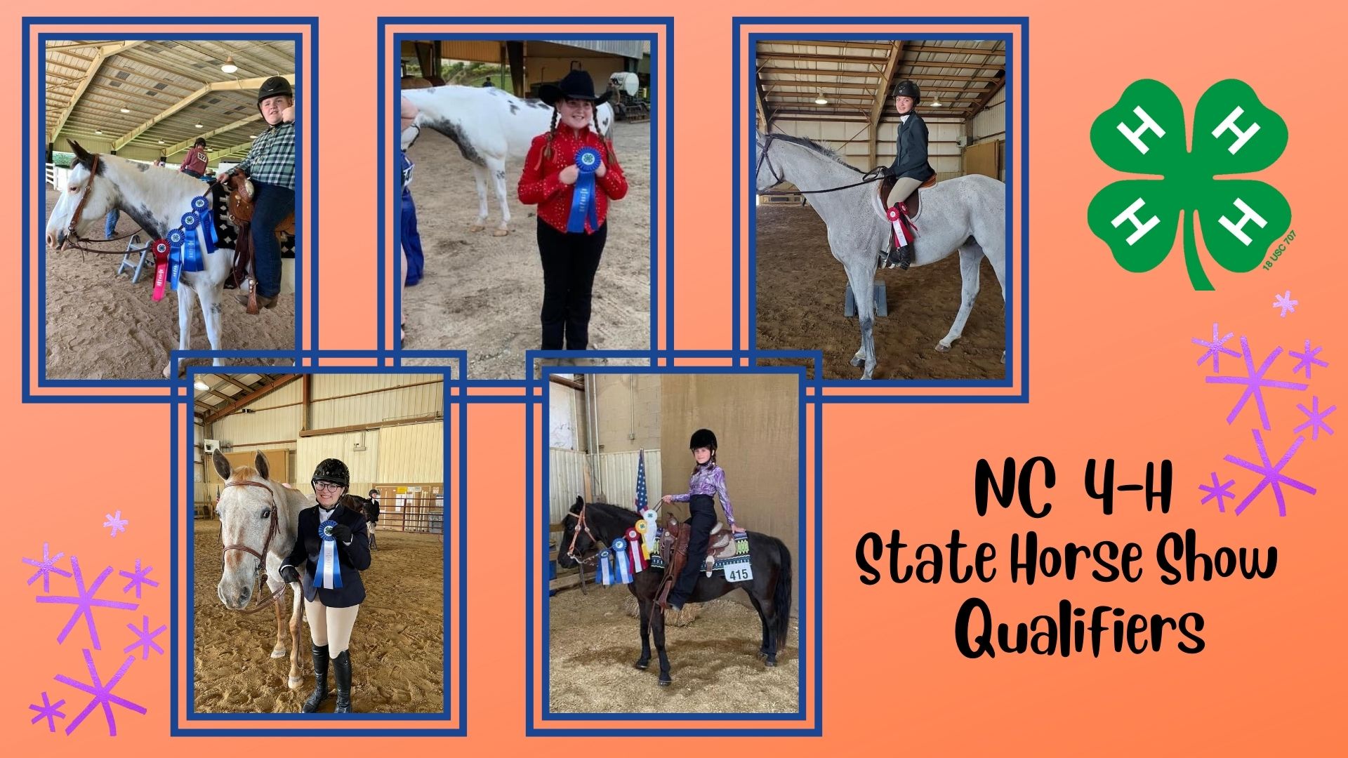 NC 4-H Horse show pictures