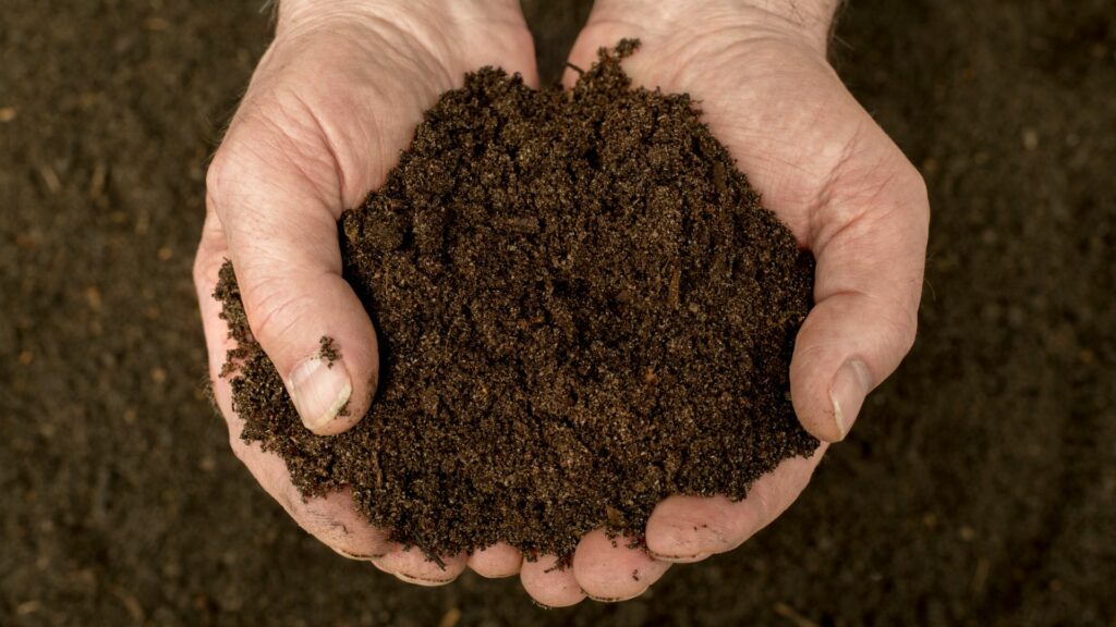 rich soil in hands