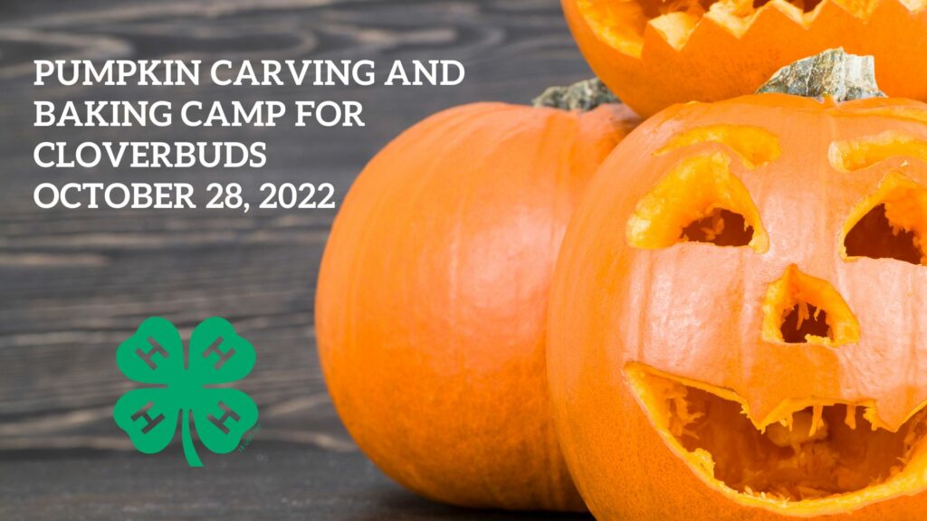 pumpkin carving poster