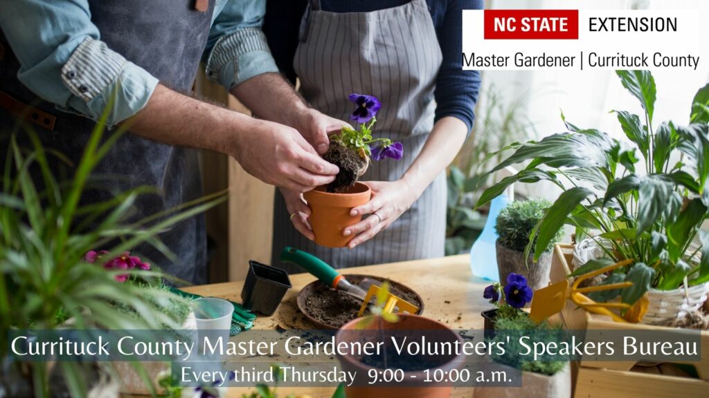 Currituck County Master Gardener Volunteer's Speakers Bureau, Every third Thursday 9:00 – 10:00 a.m.