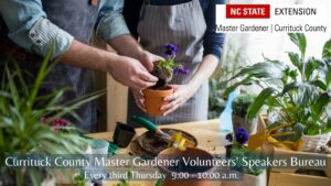 Currituck County Master Gardener Volunteer's Speakers Bureau, Every third Thursday 9:00 - 10:00 a.m.