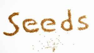 The Wonderful World of Seed Blocking, February 2 from 10:00 -11:00.