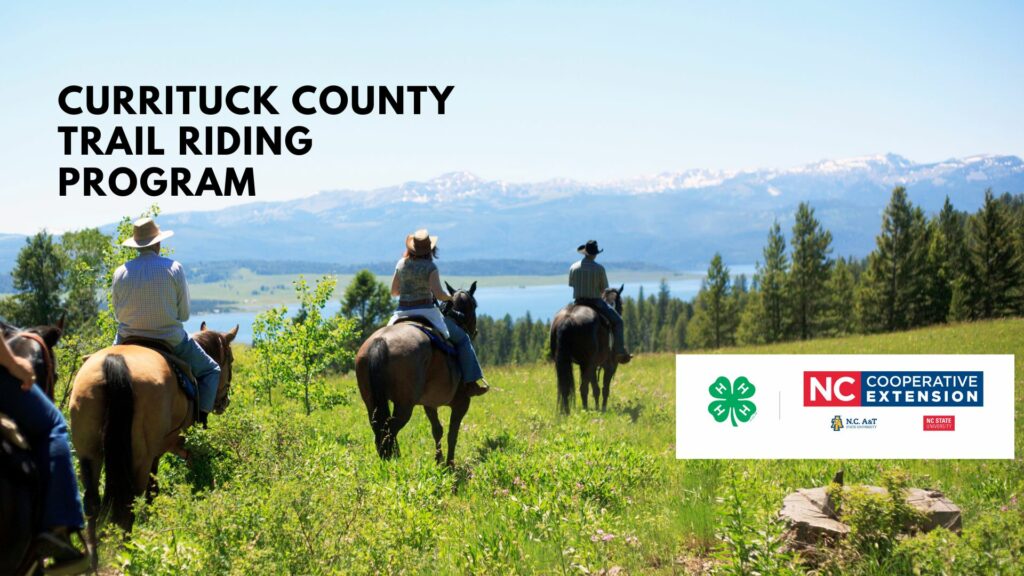Currituck County Horse Trail Riding Program