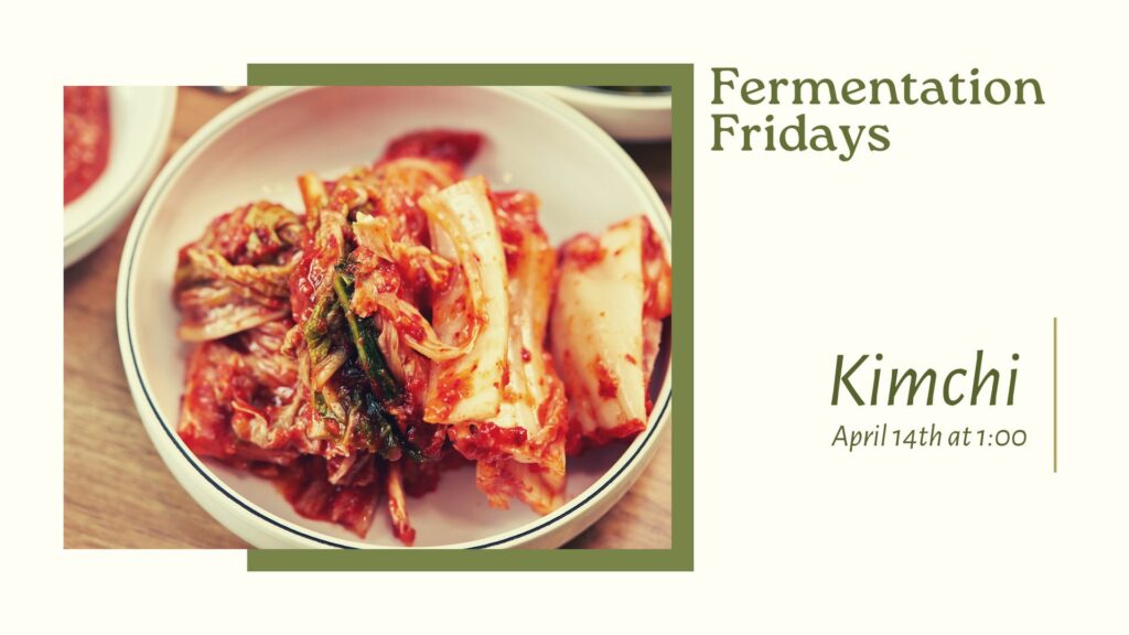 kimchi as part of the Fermentation Fridays Series