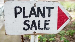 White sign with red arrow pointing to plant sale