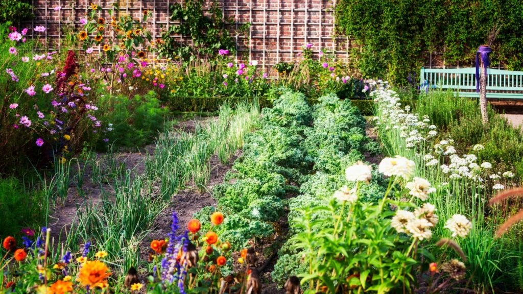 Flower and vegetable garden with multicolored blooms