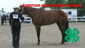 Currituck Horse Judging Team 4 H
