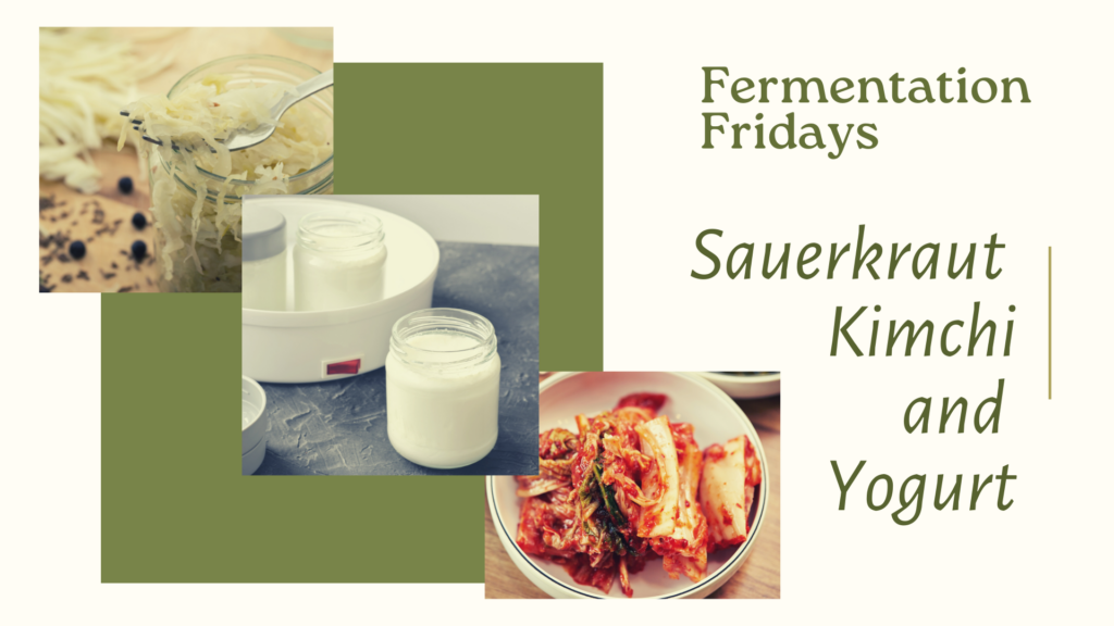 sauerkraut, kimchi, and yogurt classes held as part of Fermentation Fridays series