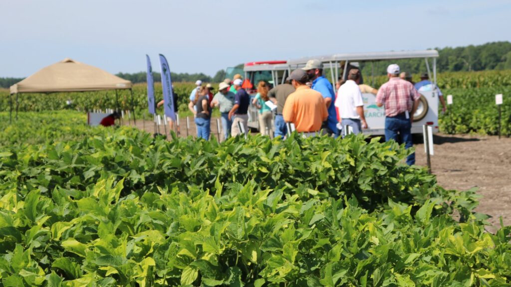 Farmers in soybean field listening to presentations.