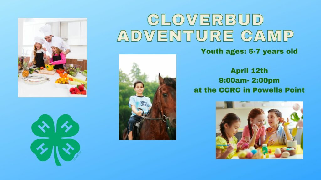 Cloverbuds Adventure Camp