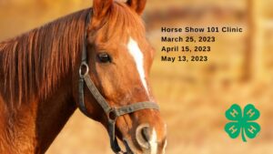 Horse Show 101 clinic, march 25 2023, April 15 2023, May 13 2023