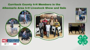 Currituck County 4-H Memebers in the Albemarle Area 4-H Livestock show and sale