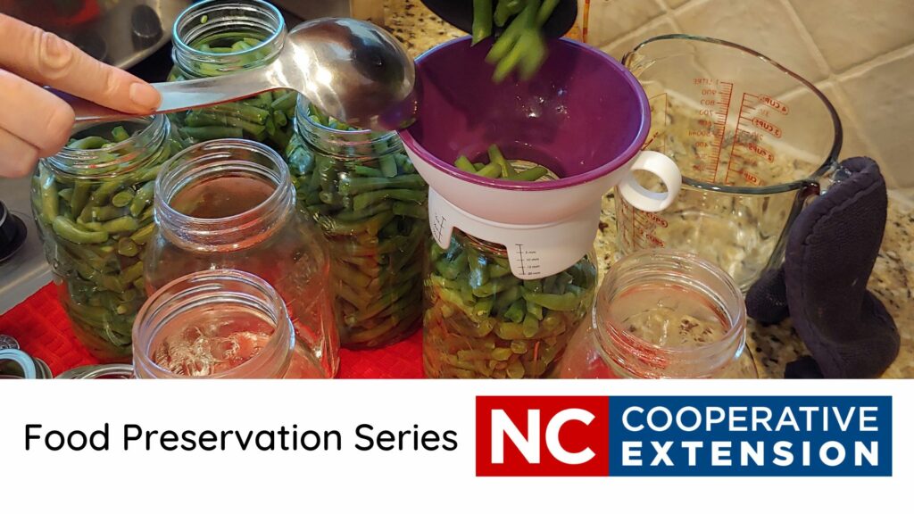 Canning jars being filled with green beans for preservation