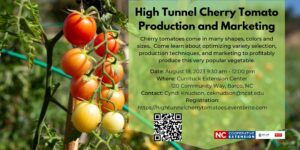 High tunnel cherry tomato production and marketing
