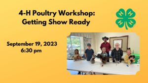 Poultry Workshop: Getting Show Ready