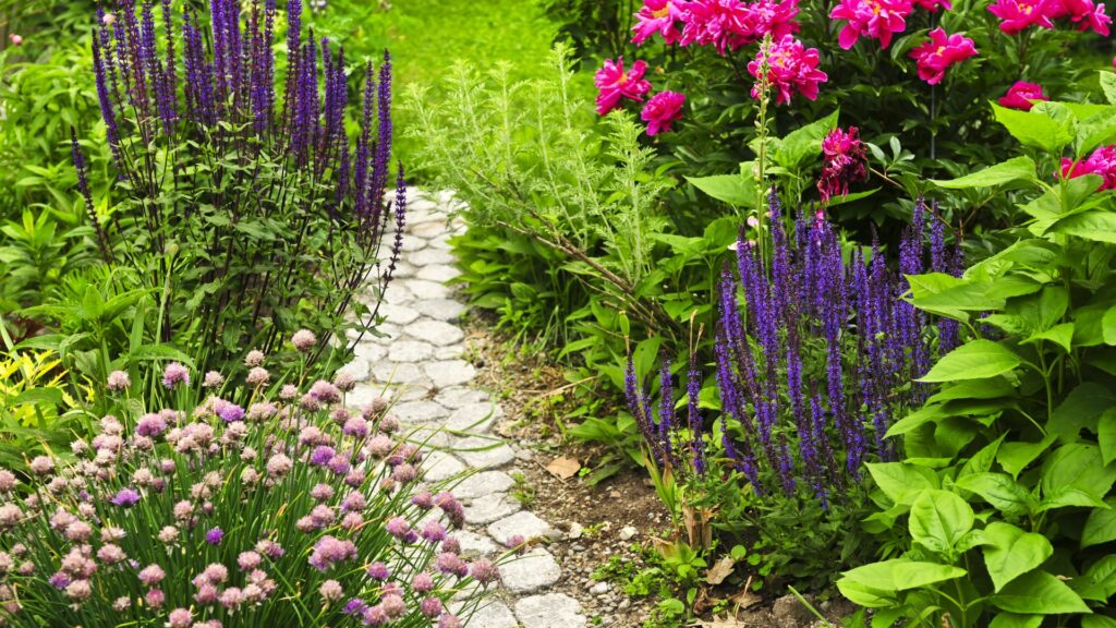 Rock path with flowers growing on the sides
