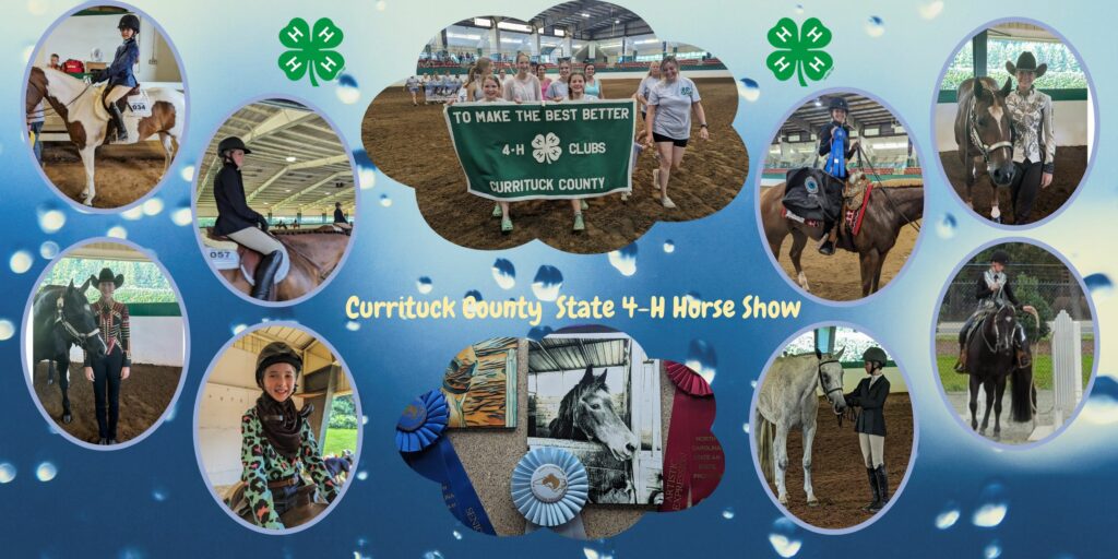 State 4-H Horse Show 2023