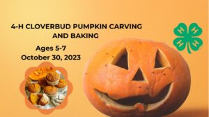4-H Cloverbud Pumpkin carving and baking pumpkin muffins and carved pumpkin