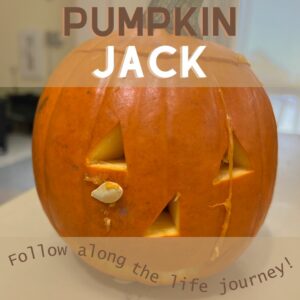 Pumpkin Jack: Follow along the life journey