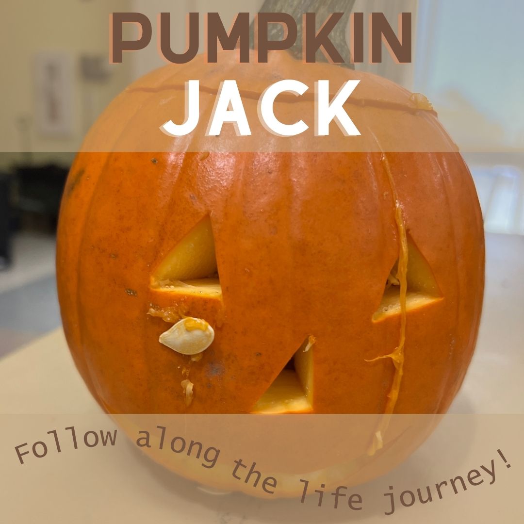 Pumpkin Jack title image. Tagline - follow along the life journey!