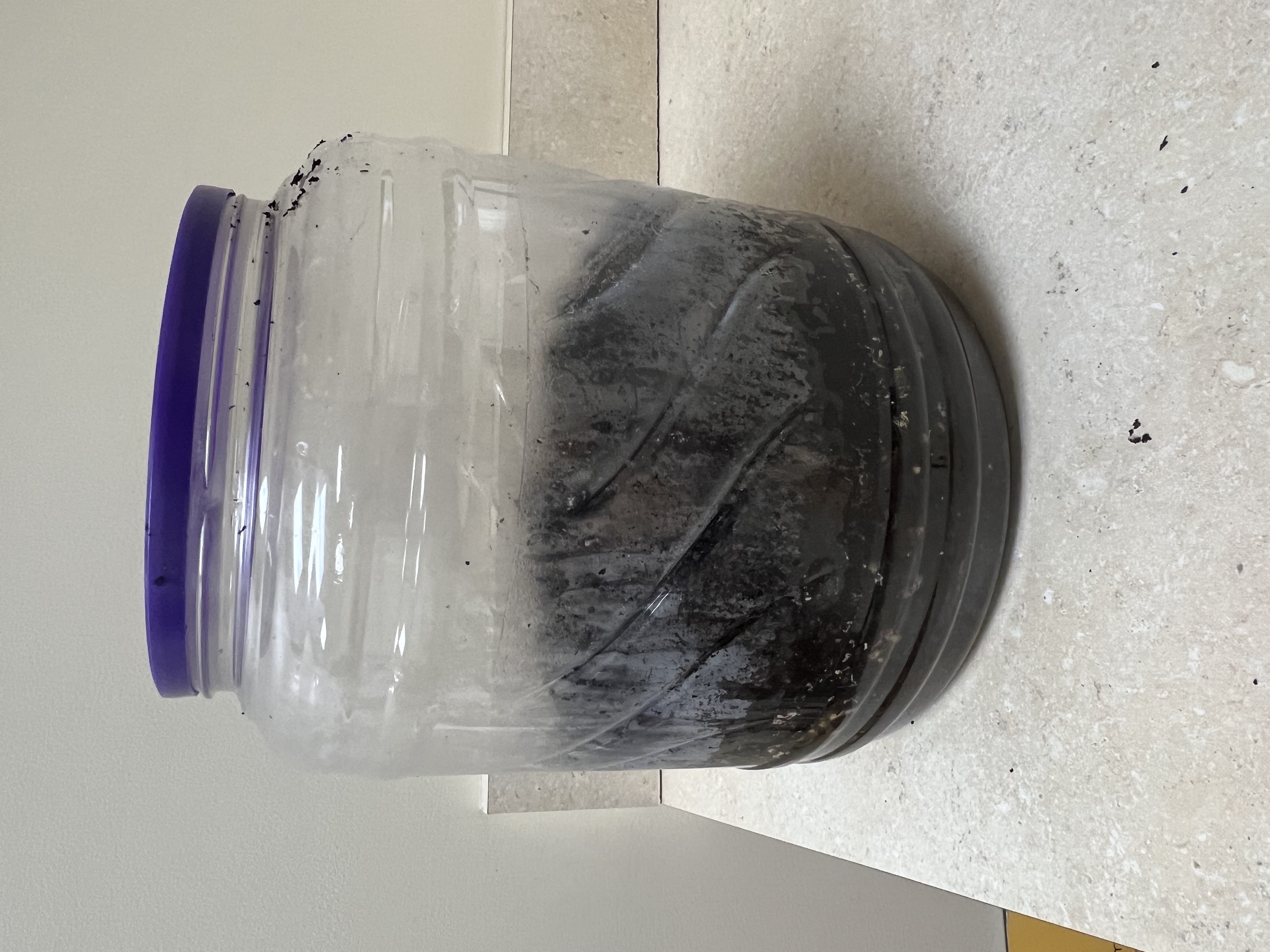 Clear plastic container with dirt