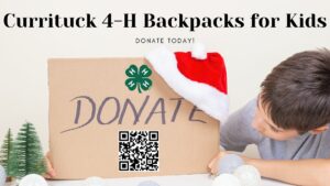 Donate card with QR code and Santa hat