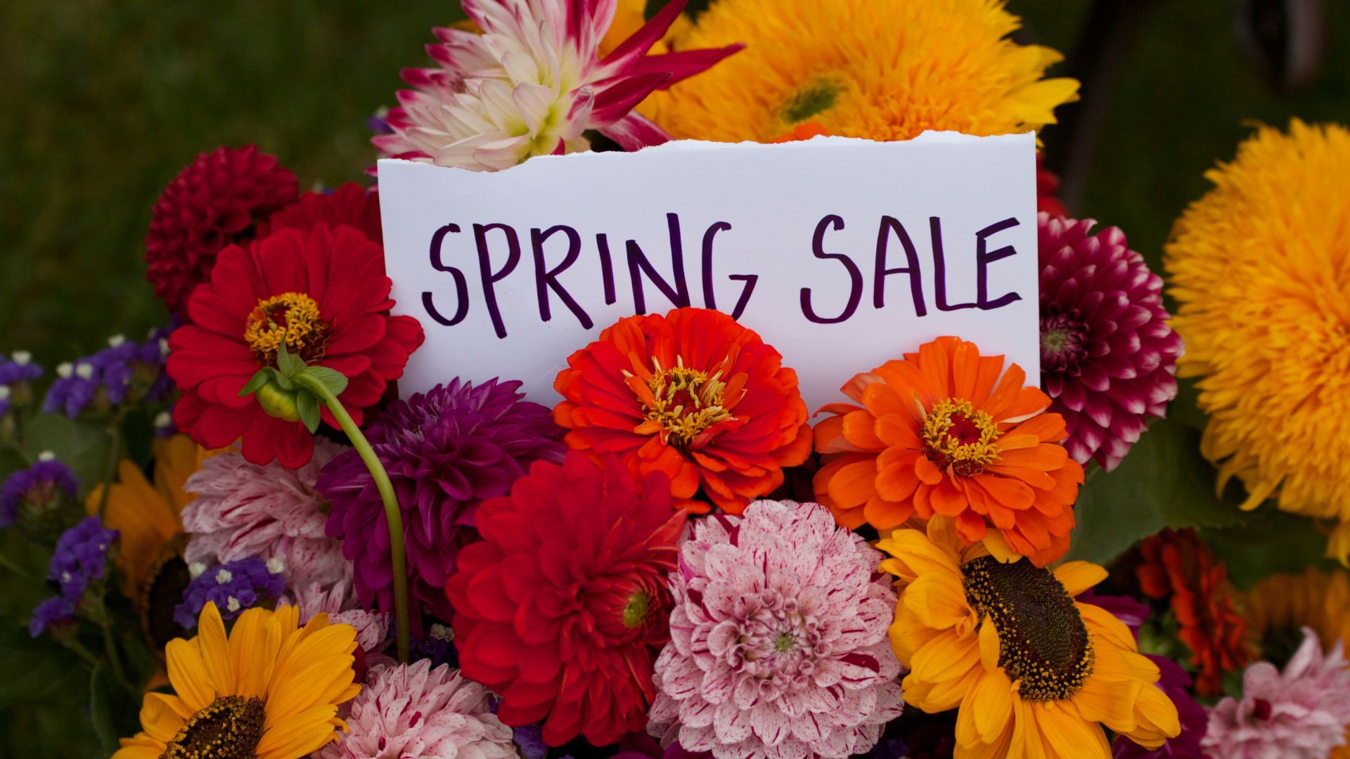 Spring Sale with assorted cut flowers