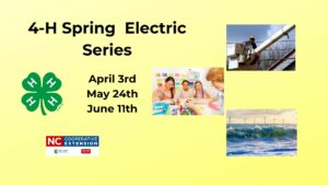 4-H Spring Electric Series