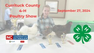 A girl with chickens and awards
