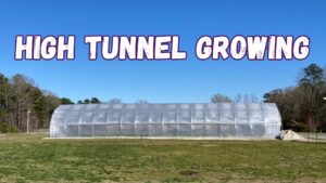 High tunnel on a lawn