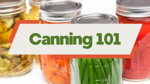 Cover photo for Discover the Art of Preserving: Join Our Canning 101 Class!