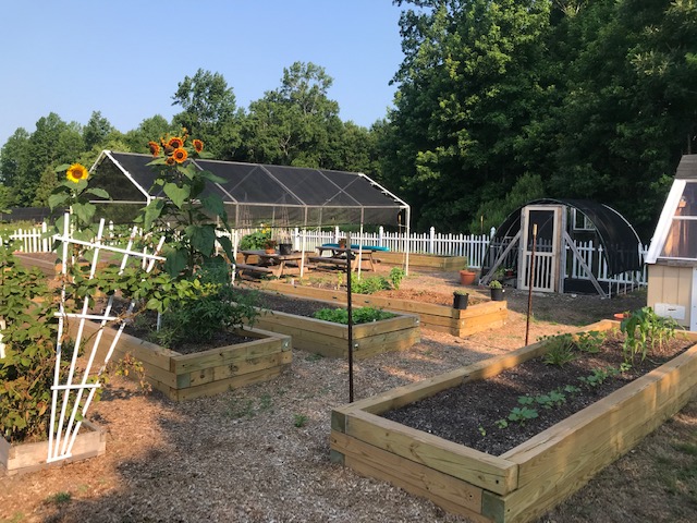 Currituck community garden raised beds and shade structure