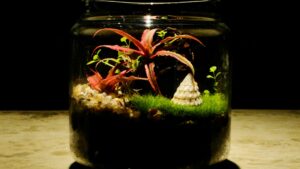 Jar with plants and moss