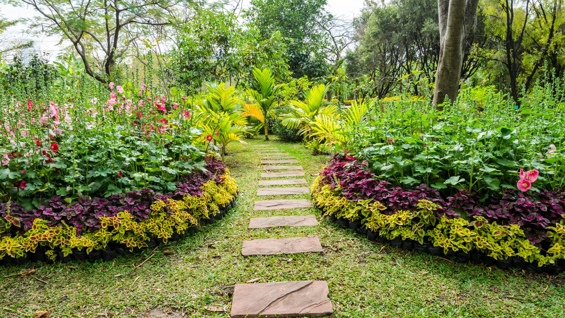 Garden path lined with foliage