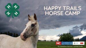 Cover photo for Happy Trails Horse Camp