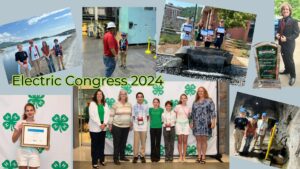 Member of 4-H Electric Congress trip