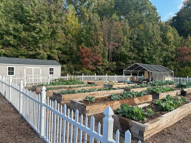 Raised bed garden and fence