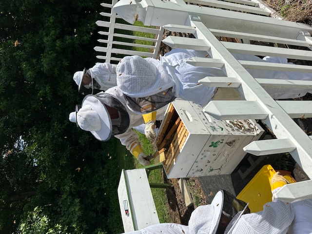 Bee hives with people in bee suits