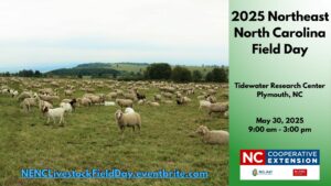 Cover photo for 2025 Northeast NC Livestock Field Day