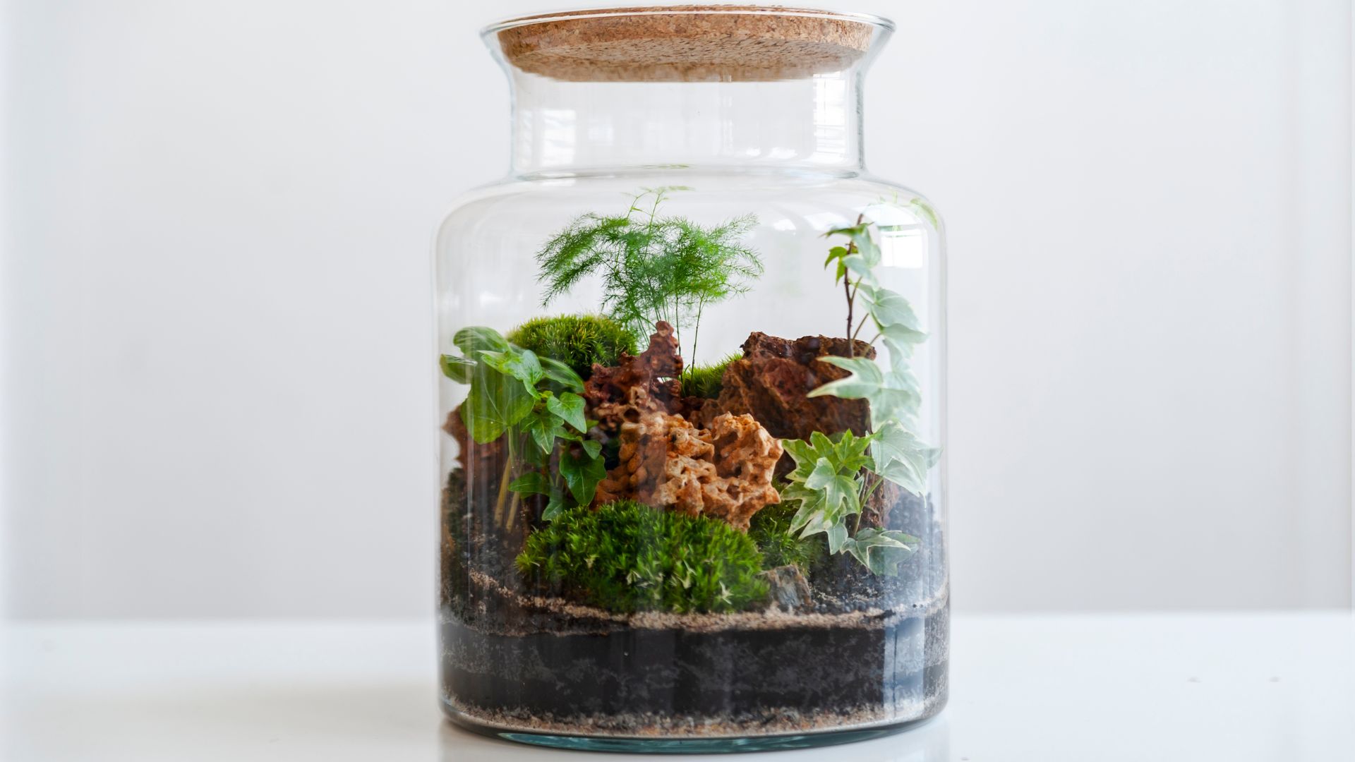 Terrarium jar with plants inside