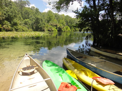 Kayaks in the shore