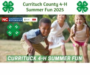 Cover photo for 4-H Summer Fun 2025