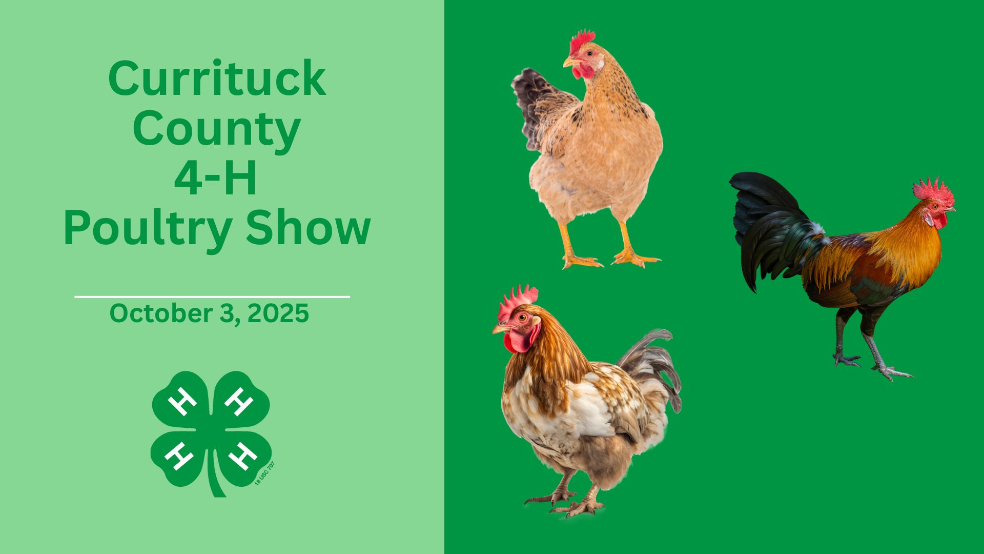 Currituck poultry show with roosters pictured