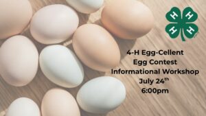 Eggs on a table