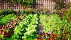 Cover photo for 2025 Extension Master Gardener Volunteer Training