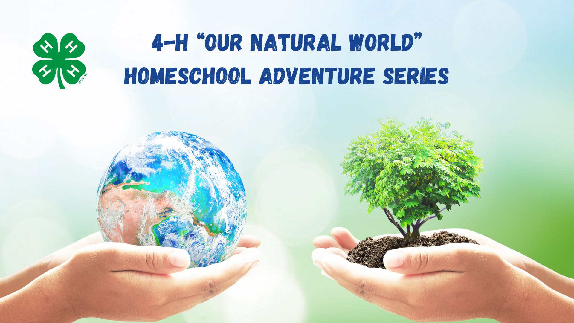 Hands holding a globe and a tree
