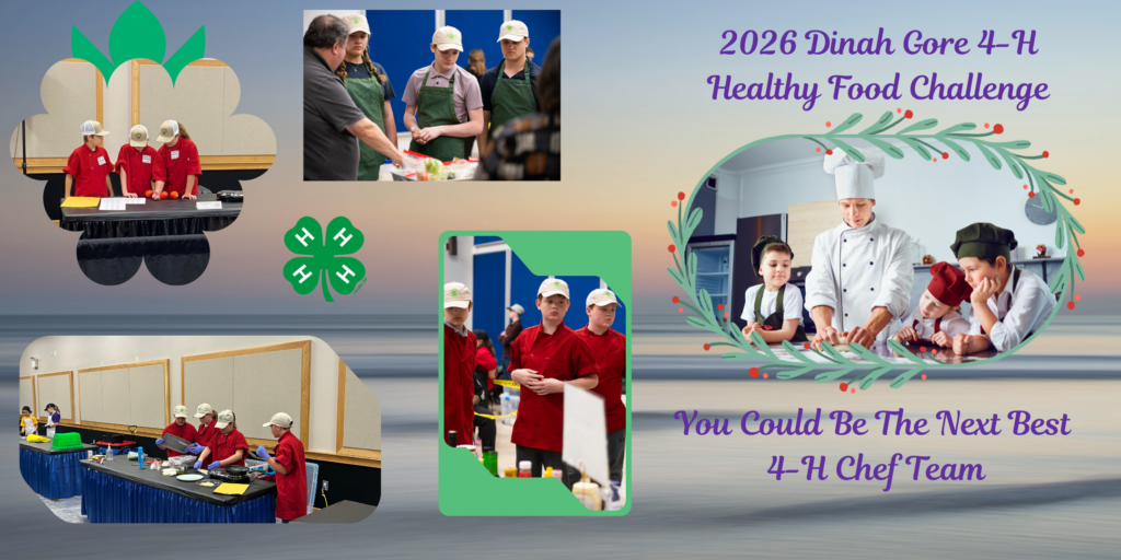 2026 Dinah Gore 4-H Healthy Food Challenge. You Could be the Next Best 4-H Chef Team