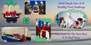 2026 Dinah Gore 4-H Healthy Food Challenge. You Could be the Next Best 4-H Chef Team